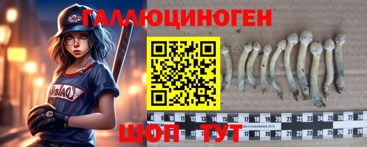 Галлюциногенные грибы ЛСД Кемерово
