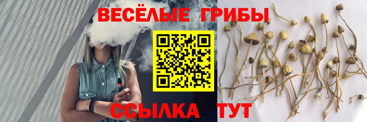 Псилоцибиновые грибы Psilocybe  Галлюциногенные грибы Cubensis  Кемерово  Вход с VPN 